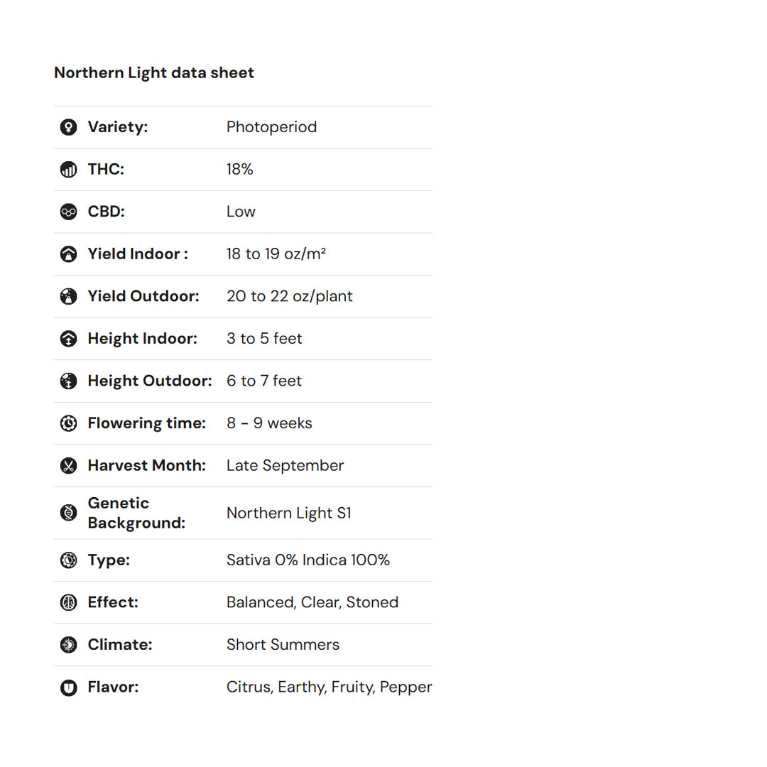 Royal Queen Seeds – Northern Light Feminized Seeds (Classic Indica Legend)