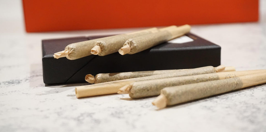A Beginner’s Guide to CBD Pre Rolls - Erth Wellness