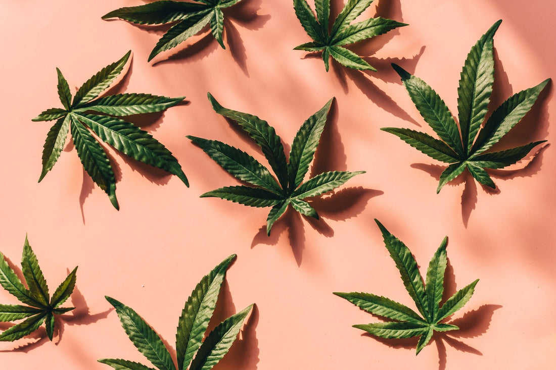CBD vs. CBG vs. CBN: What Are They Good For? - Erth Wellness