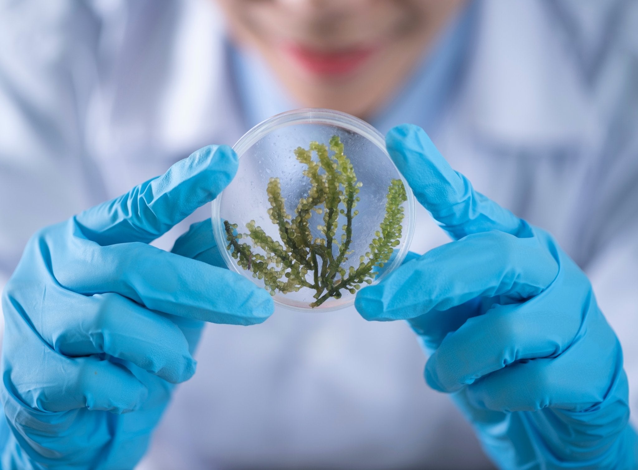 How Labs Test CBD Products For Purity & Potency - Erth Wellness