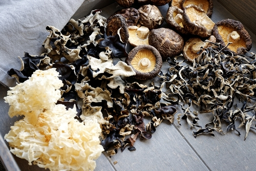 What Are Medicinal Mushrooms?