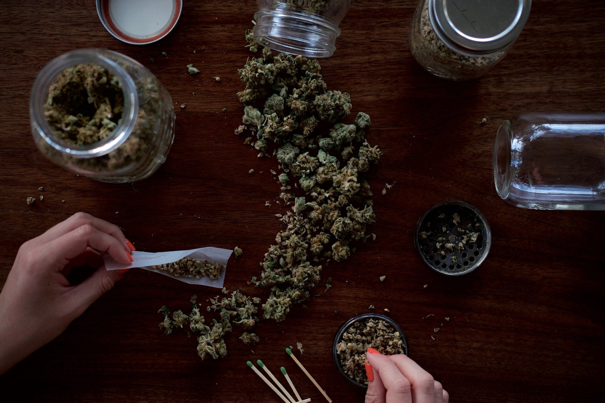Sativa, Indica, and Hybrid Strains Explained - Erth Wellness