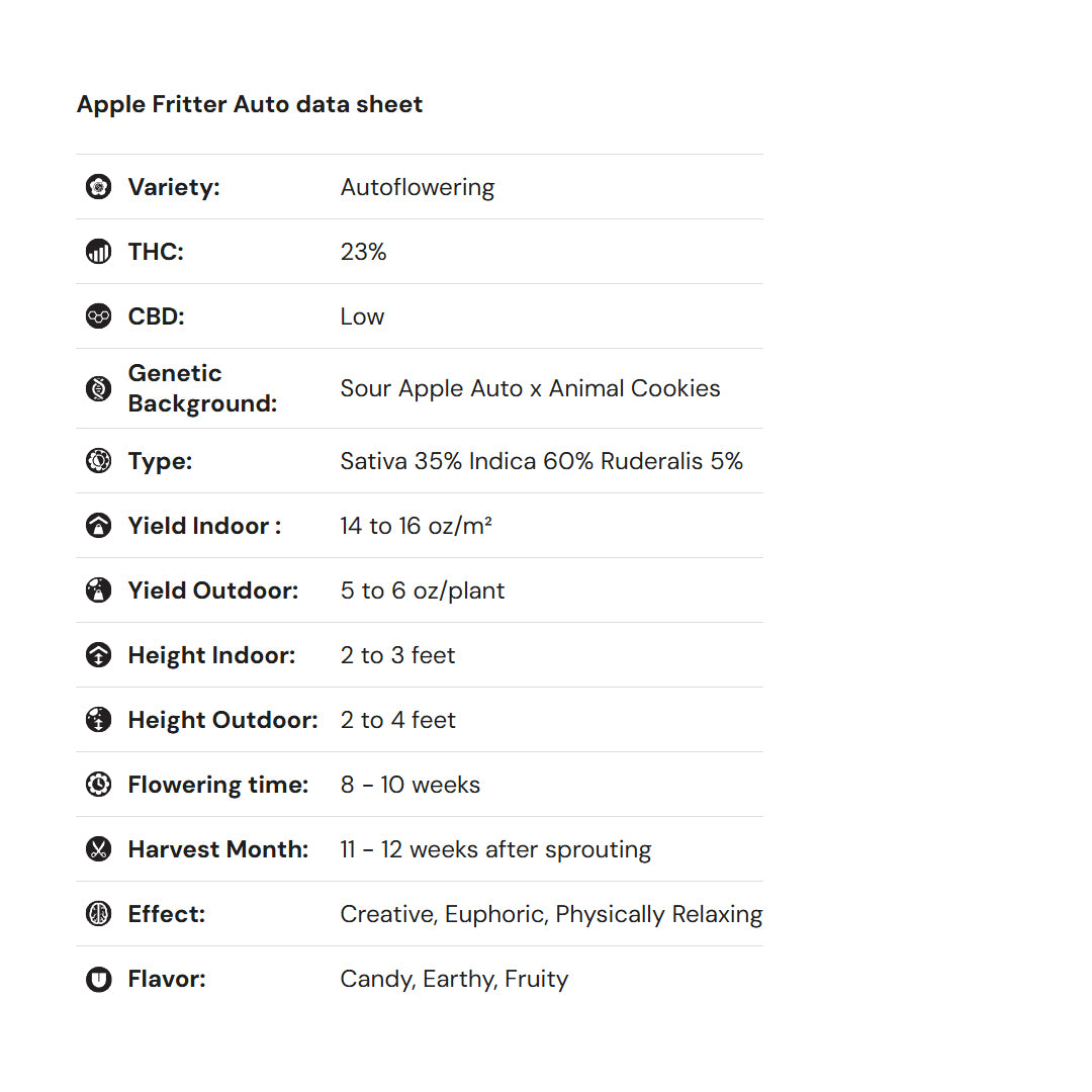 Royal Queen Seeds iGrowCan – Beginner-Friendly Autoflower Grow Kit