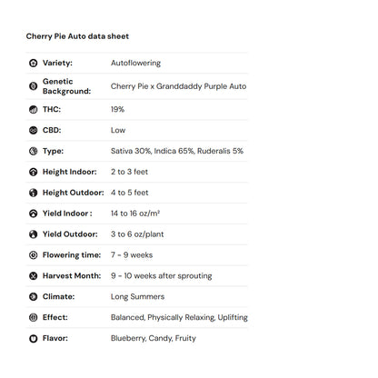 Royal Queen Seeds iGrowCan – Beginner-Friendly Autoflower Grow Kit