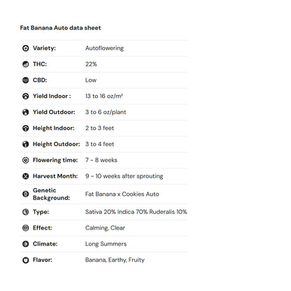 Royal Queen Seeds iGrowCan – Beginner-Friendly Autoflower Grow Kit