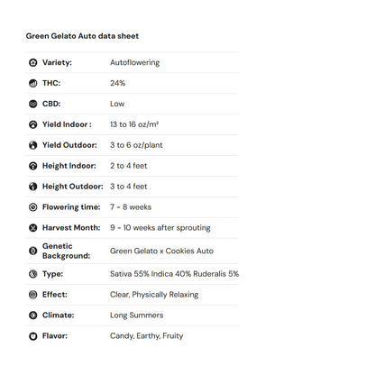 Royal Queen Seeds iGrowCan – Beginner-Friendly Autoflower Grow Kit
