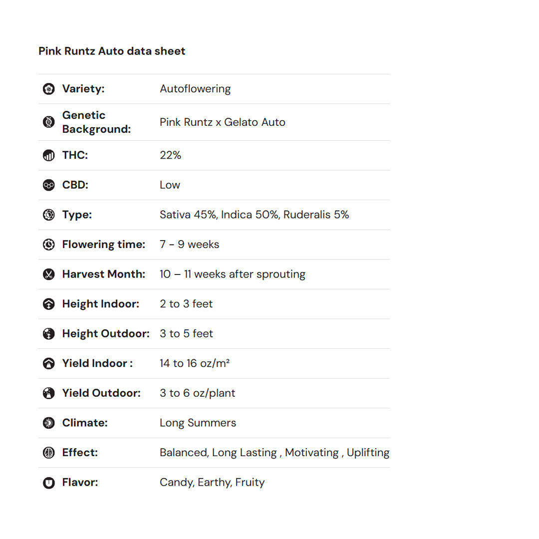 Royal Queen Seeds iGrowCan – Beginner-Friendly Autoflower Grow Kit