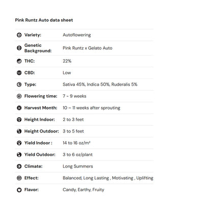 Royal Queen Seeds iGrowCan – Beginner-Friendly Autoflower Grow Kit