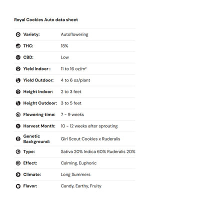 Royal Queen Seeds iGrowCan – Beginner-Friendly Autoflower Grow Kit