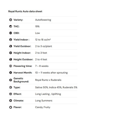 Royal Queen Seeds iGrowCan – Beginner-Friendly Autoflower Grow Kit