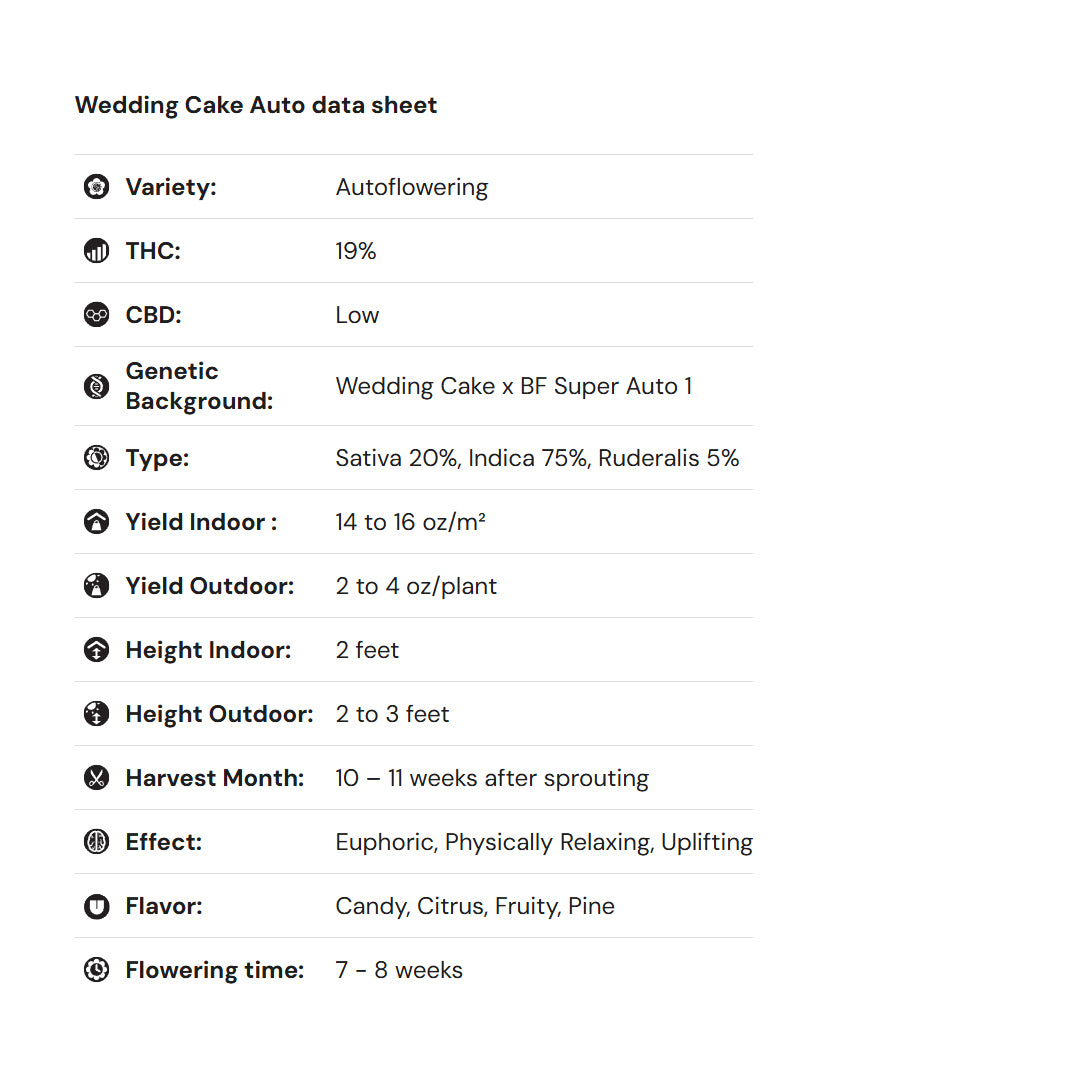 Royal Queen Seeds iGrowCan – Beginner-Friendly Autoflower Grow Kit