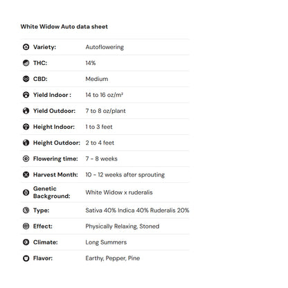 Royal Queen Seeds iGrowCan – Beginner-Friendly Autoflower Grow Kit