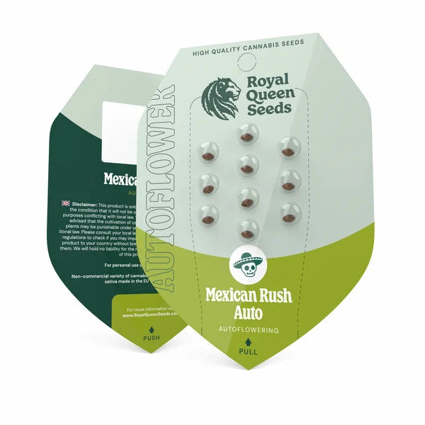 Royal Queen Seeds – Mexican Rush Auto Feminized Seeds (Sativa) - 3 Seeds