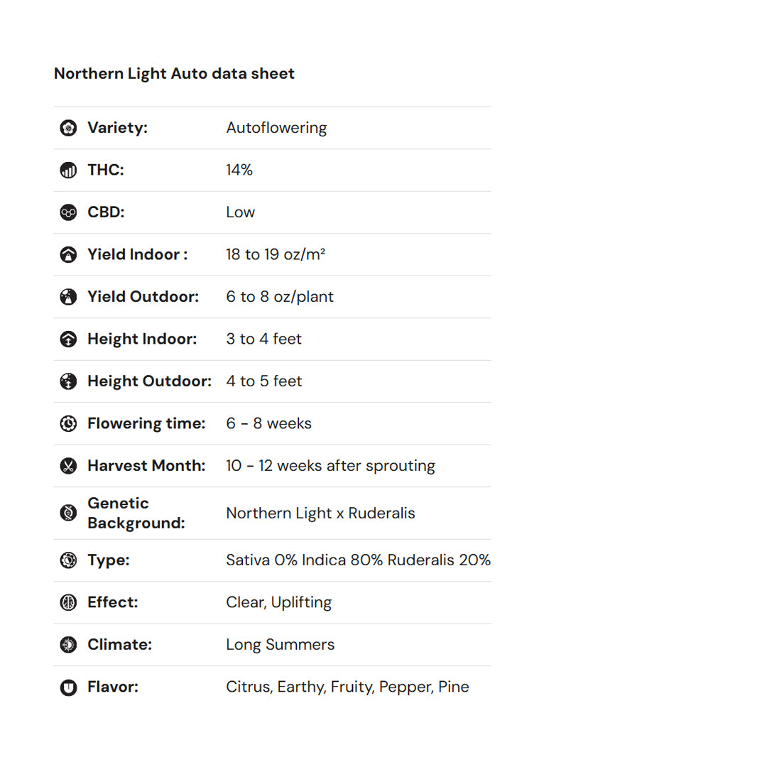 Royal Queen Seeds iGrowCan – Beginner-Friendly Autoflower Grow Kit