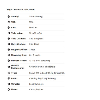 Royal Queen Seeds iGrowCan – Beginner-Friendly Autoflower Grow Kit