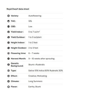 Royal Queen Seeds iGrowCan – Beginner-Friendly Autoflower Grow Kit
