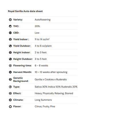Royal Queen Seeds iGrowCan – Beginner-Friendly Autoflower Grow Kit