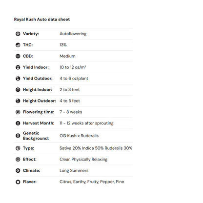 Royal Queen Seeds iGrowCan – Beginner-Friendly Autoflower Grow Kit