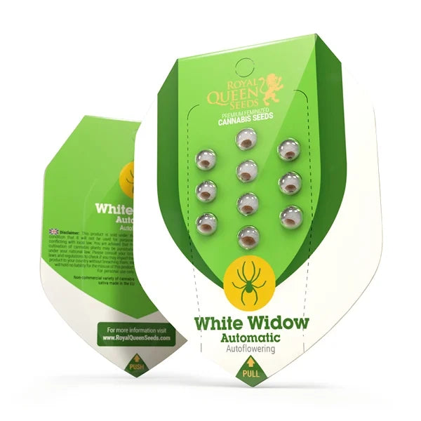 Royal Queen Seeds – White Widow Auto Feminized Seeds (Fast-Flowering Classic)